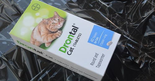 成猫多久吃一次驱虫药