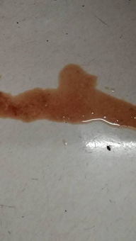 狗狗拉稀粘液状带血