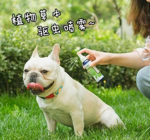夏天怎么给狗狗驱蚊