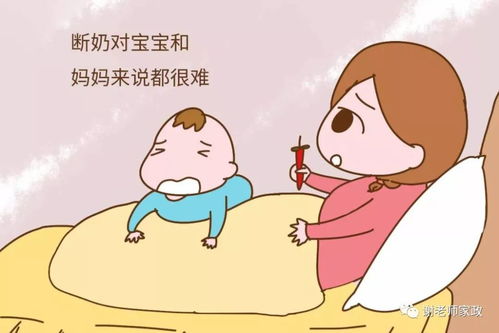 美短几个月断奶最好