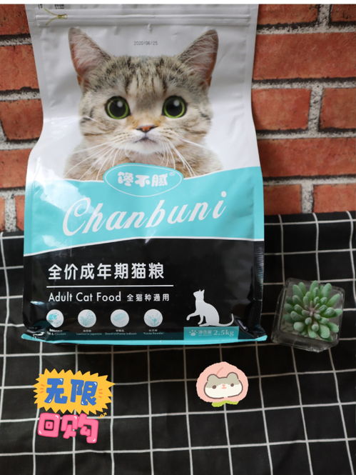 给猫买猫粮什么牌子好