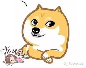 狗在外边睡觉不会被冻着么