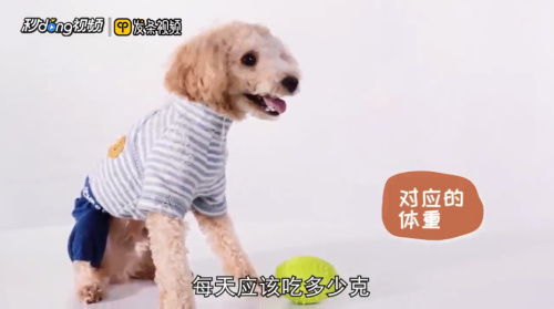 按狗体重的多少喂