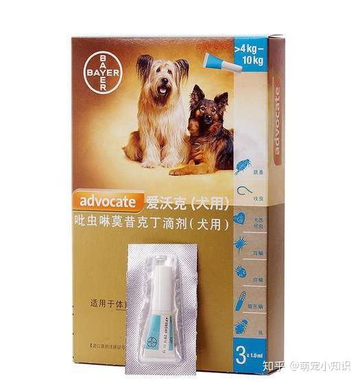狗狗体内驱虫一般用什么药