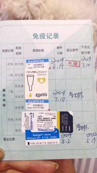 幼犬疫苗几个月打完最好