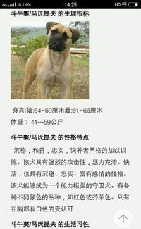 英国皇室 犬