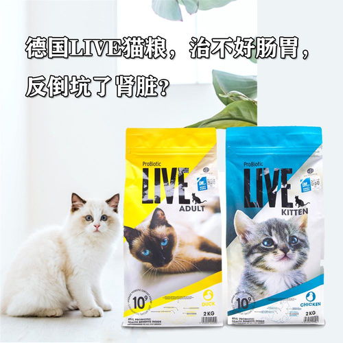 调理猫肠胃的猫粮