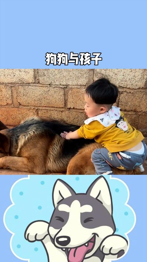 怎样让狗不咬我