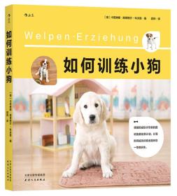 怎么开始训练小狗