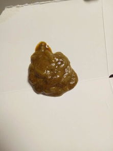 狗狗拉稀便黄色粘液