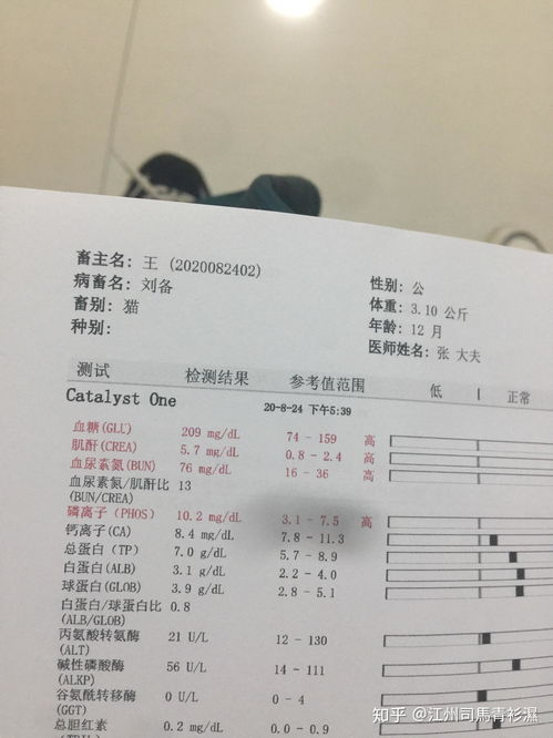 公猫多久做绝育比较好