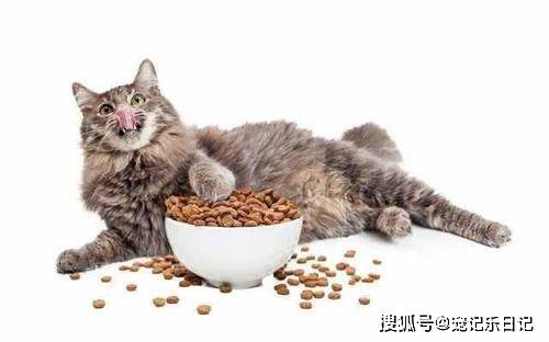 吃猫粮拉稀怎么办