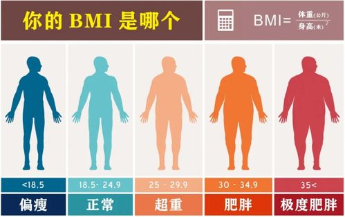 比格犬标准体重月龄表