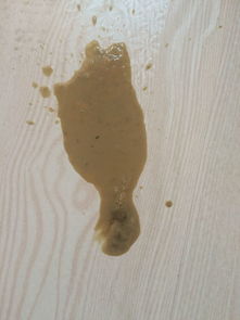 狗狗干呕吐黄水白沫怎么办