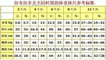 犬类体重标准