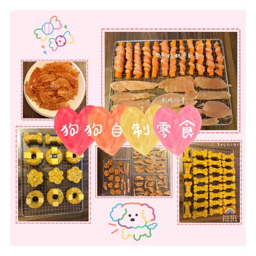 自制狗狗小零食