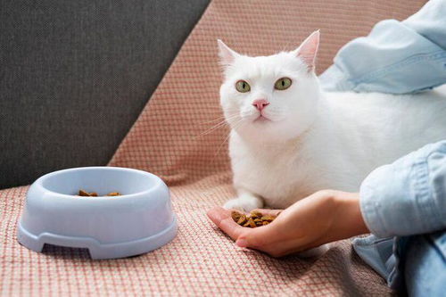 对猫咪毛发好的猫粮