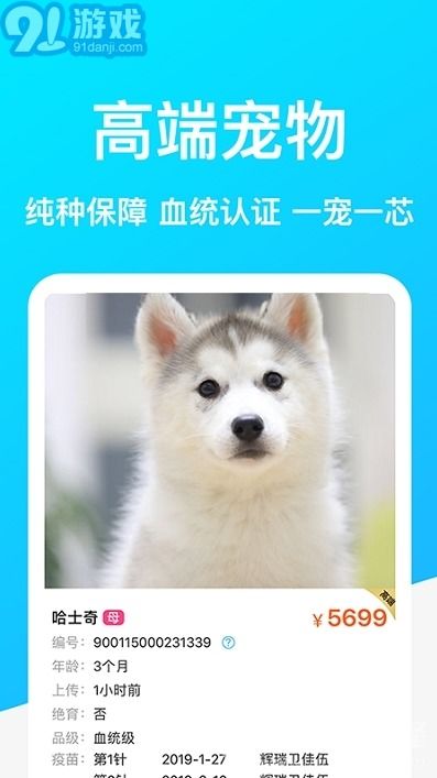 哪里可以鉴定宠物品种