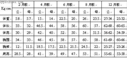狗的标准体重和身高