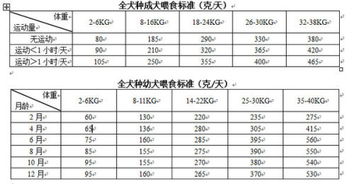 成年狗喂食量计算公式