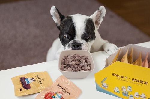 狗零食哪个好