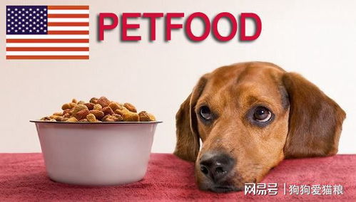 狗的食物种类