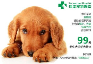 泰迪要多久驱一次虫