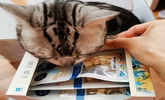 猫咪吃的什么零食