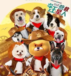 狗狗吐白沫吃什么药才能好