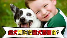 幼犬狗粮多久能泡开