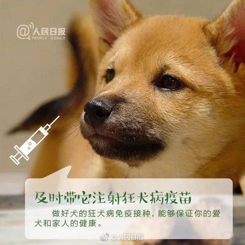 残疾人养狗