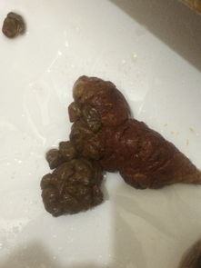 狗狗大便拉稀酱油色是出血了吗