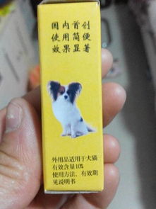 狗狗舔了去跳蚤的药有事吗