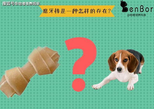 狗狗多久用磨牙棒