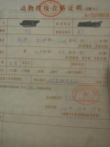 狗狗办理检疫证需要多长时间