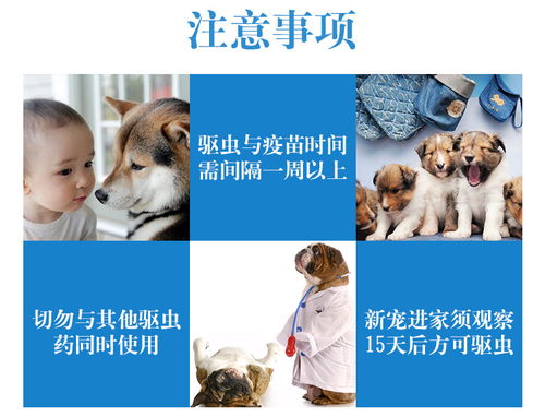 金毛幼犬体内驱虫买什么药