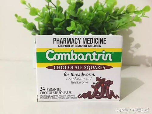 大型犬吃什么打虫药
