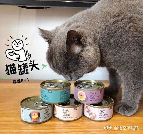 猫喜欢吃什么零食排行