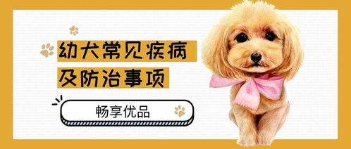 幼犬的常见病