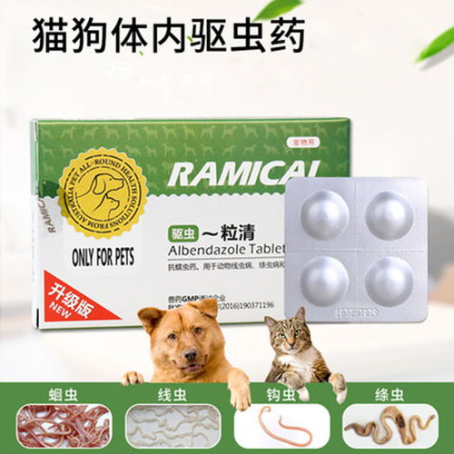 泰迪狗体内驱虫会引起身体什么症状