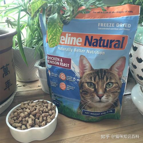 猫粮买什么比较好