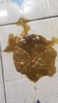 狗狗拉稀 果冻状