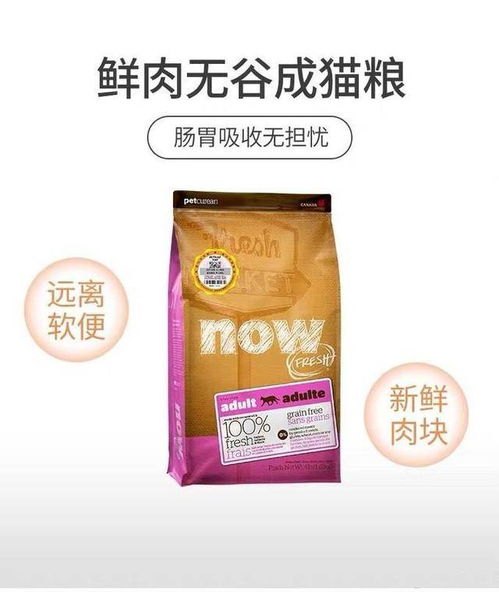 幼猫粮泡多久合适