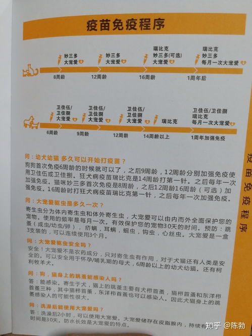 幼猫接种疫苗多少钱