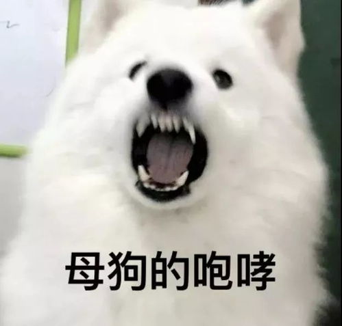 母狗多长时间来一次大姨妈