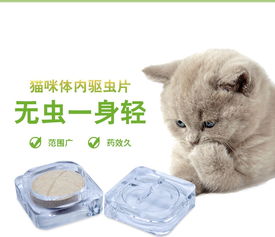 猫什么时候体内驱虫药