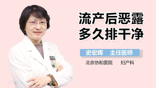 狗狗产后排恶露排多久