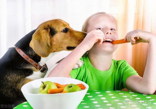 狗狗不能吃什么零食