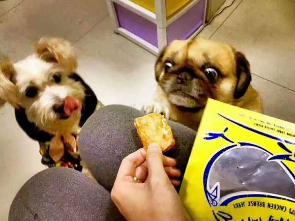 狗狗可以吃一些什么零食
