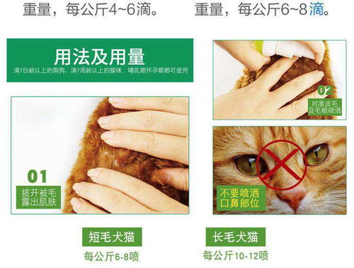狗狗有了跳蚤用了体外驱虫药再洗澡可以完全去除跳蚤吗